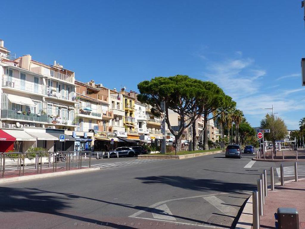 183 D16 BANDOL-1_000048.jpg